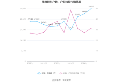 上海瀚訊2024年上半年業績分析 營收下滑與戰略轉型下的陣痛
